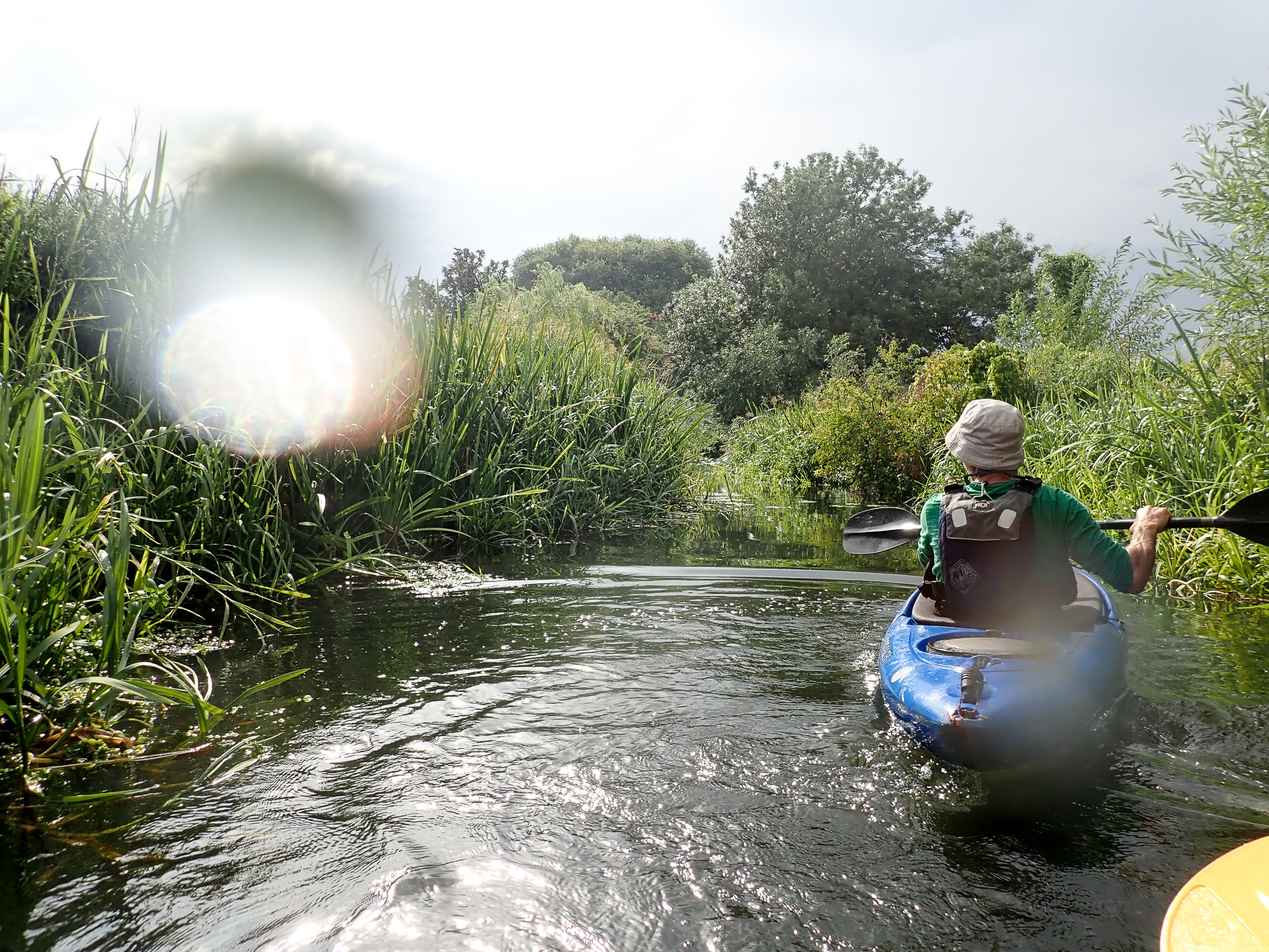 Kayaking on a river in the sun with lots of greenery