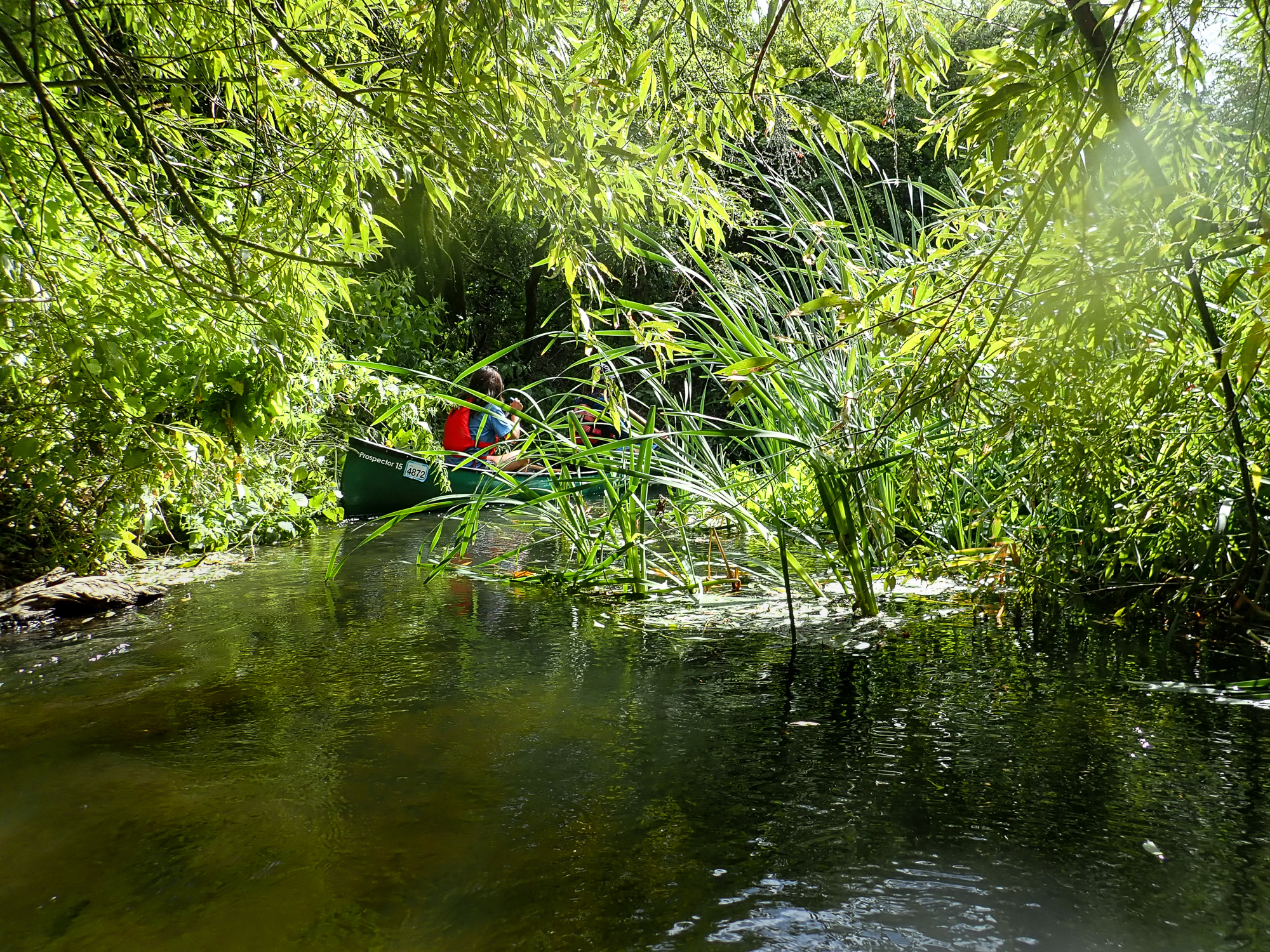 Canadian canoe on the Thames, 2018